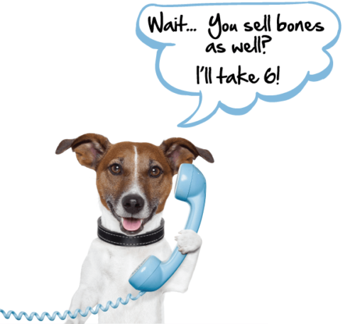 Dog-phone